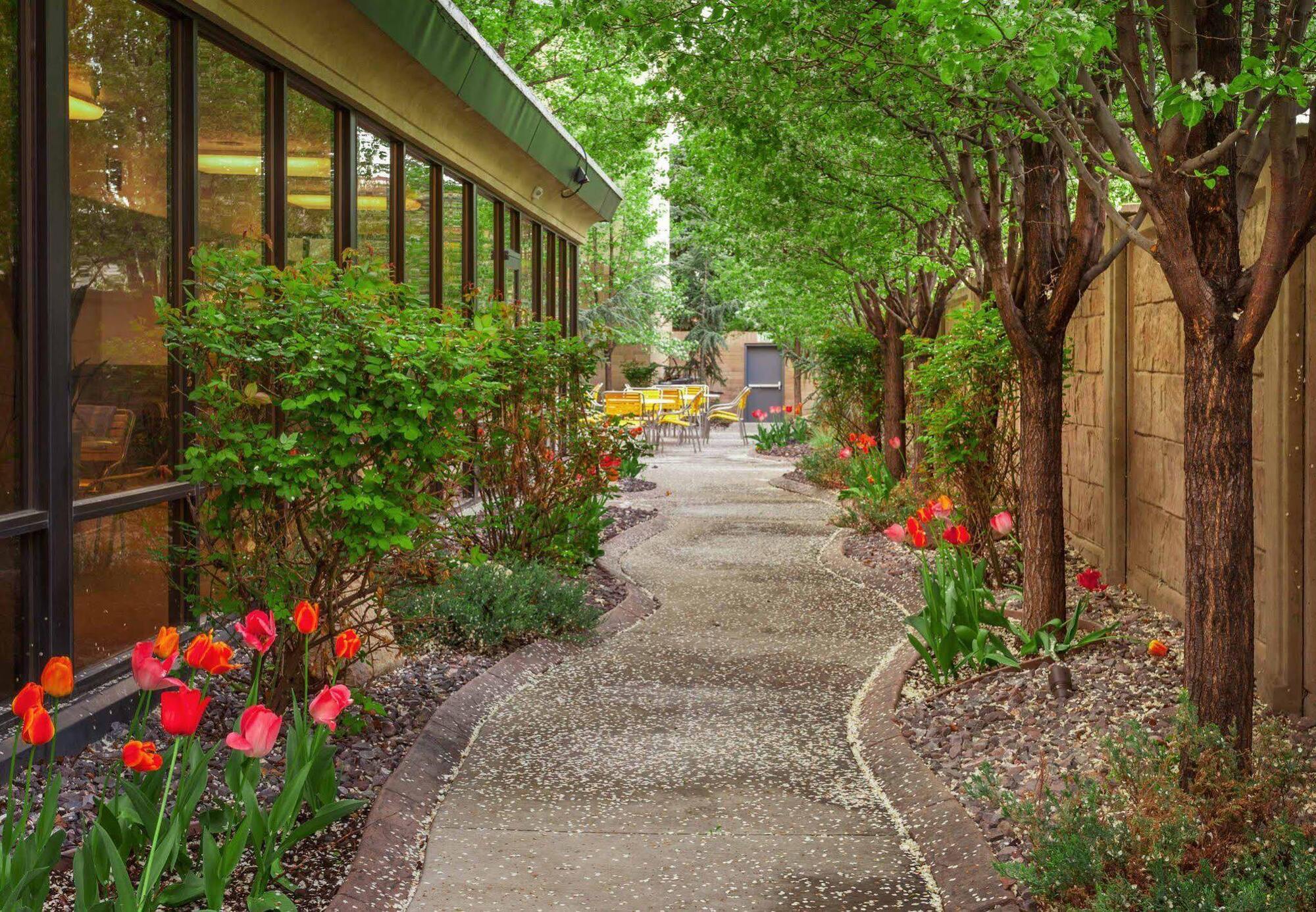 Hotel Courtyard By Marriott Salt Downtown